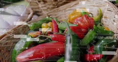 Spilling Colorful Chili Peppers in Wicker Basket with Futuristic HUD Data Overlay