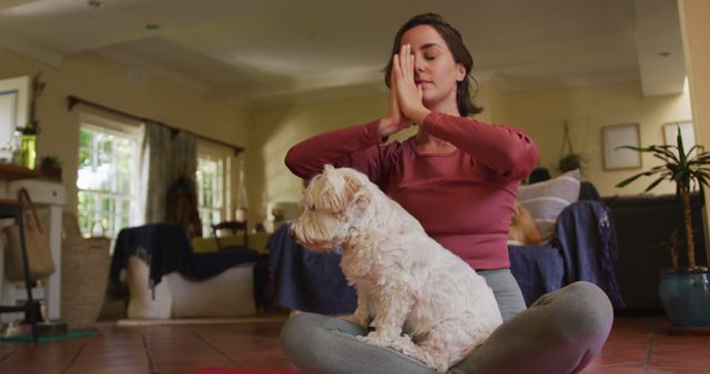 Use to depict the tranquility of home yoga and the bond between pets and their owners. Perfect for wellness and lifestyle blogs, websites emphasizing home fitness or pet-friendly environments, and advertisements promoting calm and mindfulness.