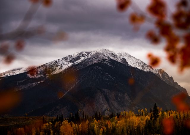 Snow-capped Mountain Peak Framed by Autumn Foliage - Download Free Stock Photos Pikwizard.com