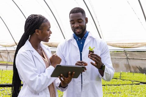 Researchers Analyzing Seedlings in Modern Greenhouse