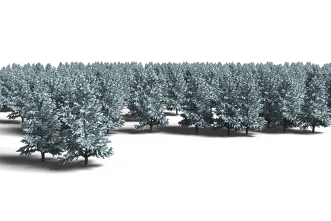 Winter Trees Illustration Set on Transparent Background - Download Free Stock Videos Pikwizard.com