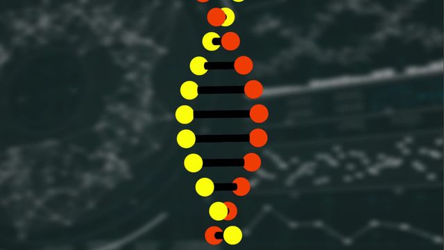 This stock animation of a colorful DNA strand rotating on a dark background with charts and data visualization is perfect for educational videos, biology presentations, science explainer content, or tech company websites. The use of bright colors and dynamic movement makes it compelling for visually engaging content related to genetics, molecular biology, and scientific research.