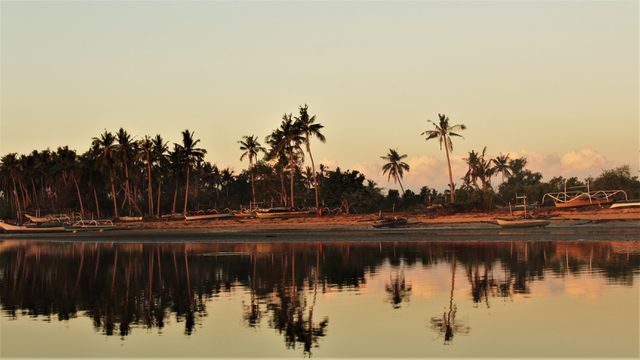 Sunset casts a golden hue over tranquil beach lined with palm trees, and small boats along shore. Ideal for travel brochures, relaxation themes, and nature-related content.