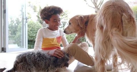 Happy Boy Playing with Pet Dogs in Sunlit Room