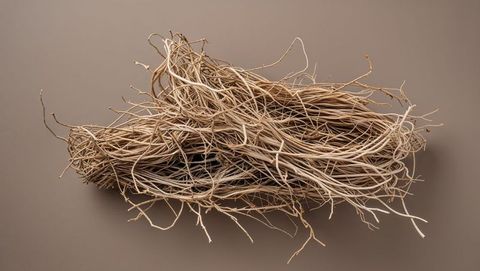 Abstract arrangement of twisted tumbleweed on beige background