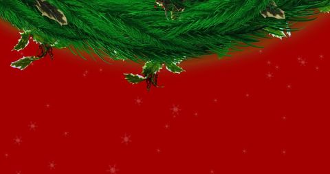 Festive garland and holly on red holiday background