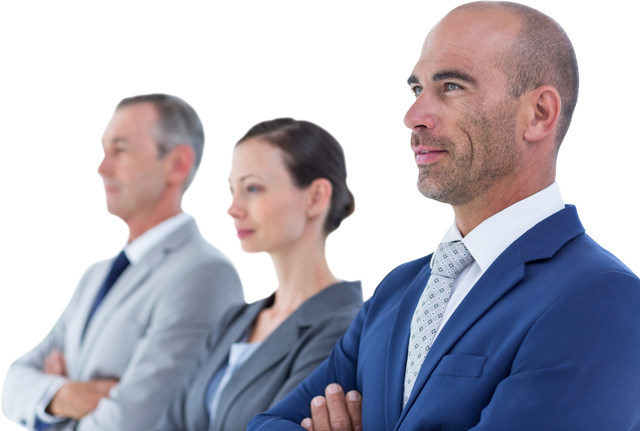 Transparent Background Confident Business Team in Suits - Download Free Stock Videos Pikwizard.com