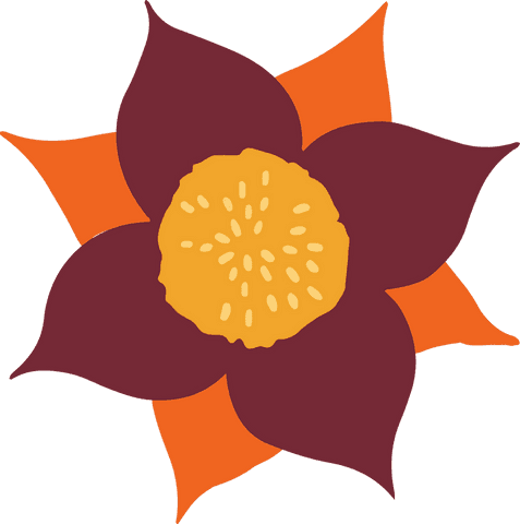 vibrant floral design with orange and maroon petals on transparent background - Download Free Stock Videos Pikwizard.com