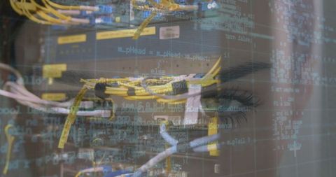 Digital Data Process Innovation with Woman and Server Integration - Download Free Stock Images Pikwizard.com
