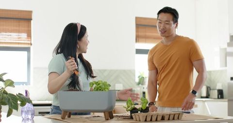 Asian couple potting herbs in bright home kitchen using raised planter and hand tools