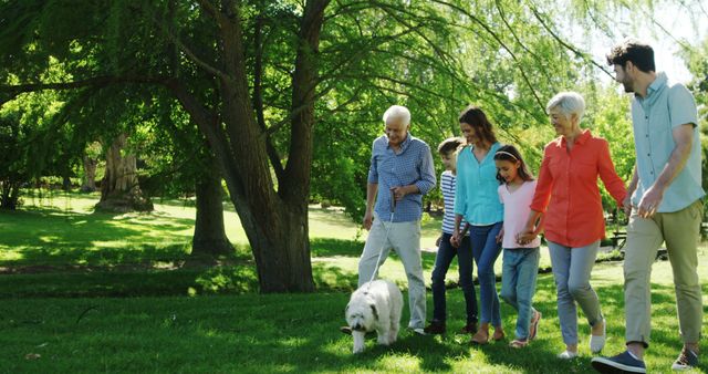 Multigenerational family enjoying a sunny day in the park, bonding and walking their dog. Ideal for uses in family-oriented promotions, lifestyle blogs, websites focusing on family health and wellness, and leisure activities. Highlights relationships and joy across different generations.