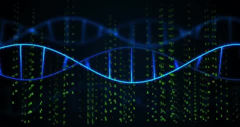 DNA Strands with Digital Data Streaming Display