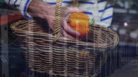 Digital Data Overlay on Grocery Shopping Activites