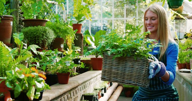 Young blond woman enjoys tending plants in a greenhouse while holding a wicker basket. Ideal for concepts such as horticulture, indoor gardening, leisure activities, and eco-friendly lifestyles. Suitable for content on gardening blogs, plant care tutorials, or nature-rich lifestyle promotions.