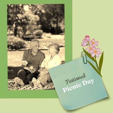 Senior couple enjoying picnic in sunny park