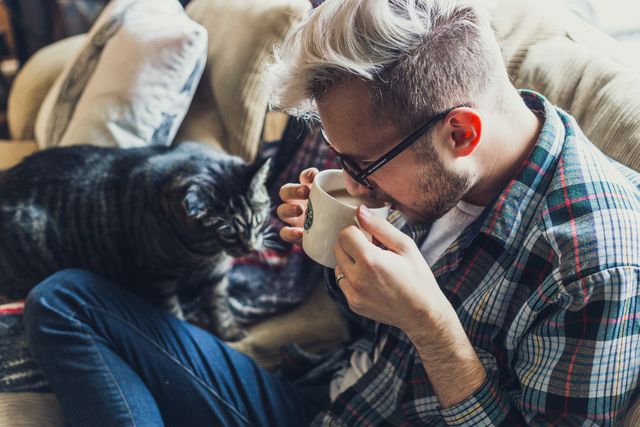 Young man with stylish hair and beard, wearing glasses and plaid shirt, sitting on a couch, drinking coffee. A tabby cat is sitting next to him. Perfect for uses such as blogs about morning routines, pet ownership, cozy home interiors, relaxed lifestyles or hipster fashion.