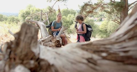 Women Enjoying a Scenic Woodland Hiking Break Beneath Outdoors - Download Free Stock Images Pikwizard.com