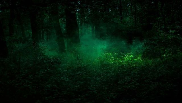 Emerald Mist Illuminating Dark Forest Floor, Glowing Fog Clearing with Eerie Green Light