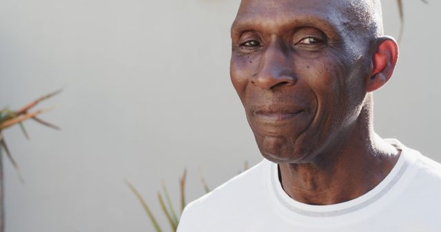 Portrait of happy senior african american man wearing white tshirt over plants, copy space - Download Free Stock Photos Pikwizard.com