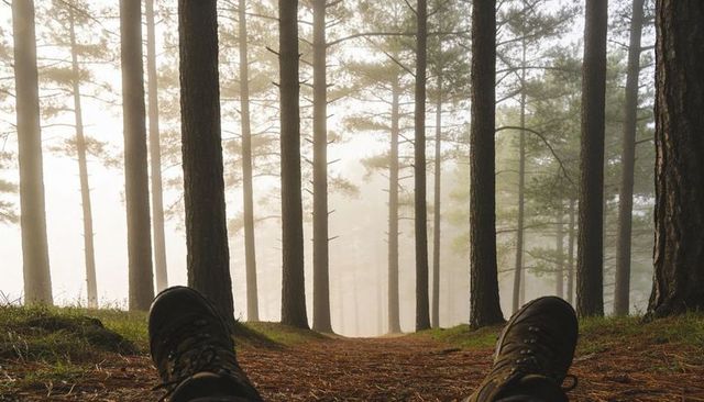 Reclining hiker wearing laced boots on misty pine trail at ground level with morning fog