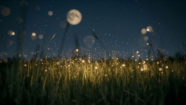 Enchanting Night Sky with Moonlit Grass and Luminescent Orbs