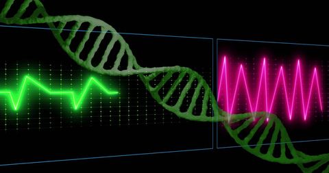 Dna strand over heartbeat monitor symbolizing biotechnology innovations