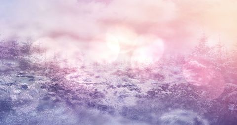Magical Winter Wonderland with Soft Light Effects - Download Free Stock Images Pikwizard.com