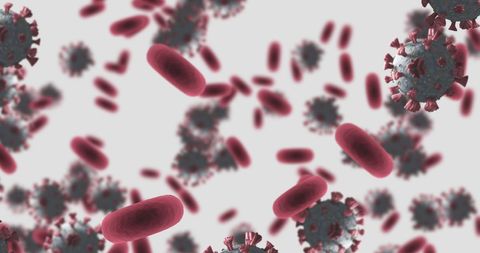 Coronavirus and Red Blood Cells Floating in Bloodstream - Download Free Stock Images Pikwizard.com