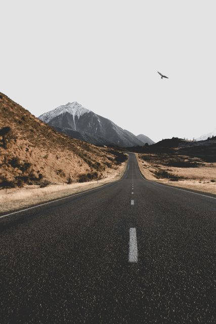 This image captures an empty road leading towards a snow-capped mountain with a bird soaring above. The serene and picturesque landscape evokes a sense of adventure, travel, and exploration. This could be used for travel brochures, adventure magazines, posters, websites promoting road trips, or as a motivational picture focusing on journey and goals.