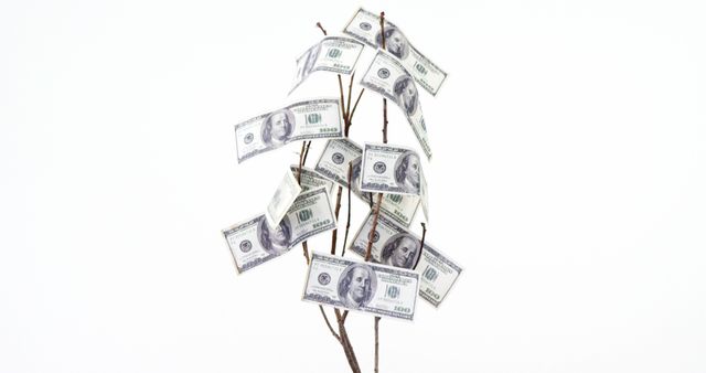 American dollar bills on tree with copy space on white background. Business, finance, money, currency concept, unaltered.