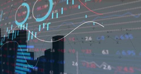 Dynamic financial data visualization with charts and analytics