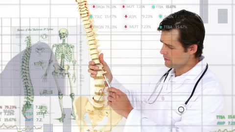 Doctor Illustrating Spine Anatomy with Data Visualization Overlays