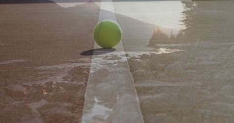 Tennis Ball on Court Line with Nature Backdrop