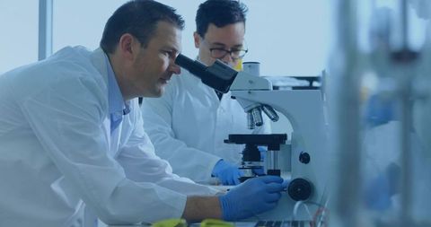 Male scientists examining samples with microscope in modern laboratory