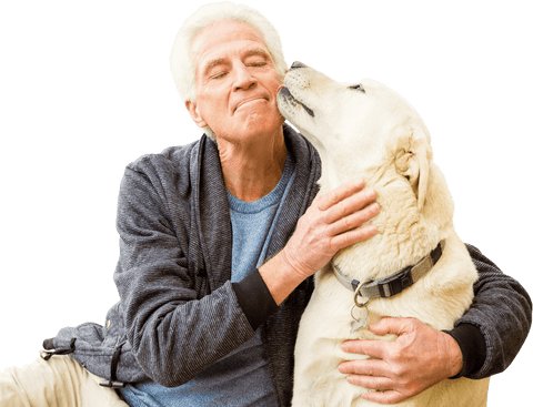 senior man embracing loyal pet dog on transparent background - Download Free Stock Videos Pikwizard.com