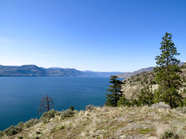 This image captures a tranquil lake surrounded by mountains under a clear blue sky. Pine trees are scattered across a dry, rocky foreground, adding a touch of wilderness. Ideal for travel brochures, nature magazines, and websites promoting outdoor activities or vacation spots. Use it to inspire calmness, serenity, or an appreciation for natural beauty.