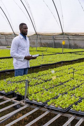 Agricultural Scientist Analyzing Crops in a Modern Greenhouse