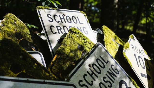 Moss-covered school crossing signs piling at woodland edge, rusted overgrowth