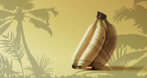 Bananas with Tropical Palm Silhouette on Yellow Background - Download Free Stock Images Pikwizard.com