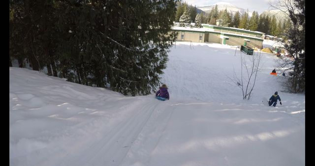 Children Sledding on Snowy Hill in Winter Forest - Download Free Stock Images Pikwizard.com