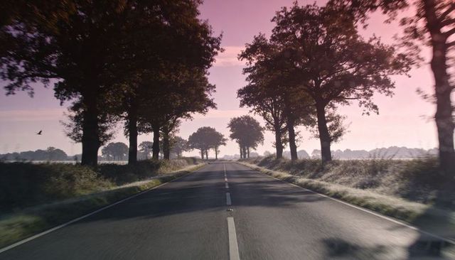 Sunrise road leading through tree-lined avenue with soft morning mist