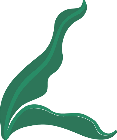 Transparent Organic Leaf Art with Flowing Green Shapes - Download Free Stock Videos Pikwizard.com