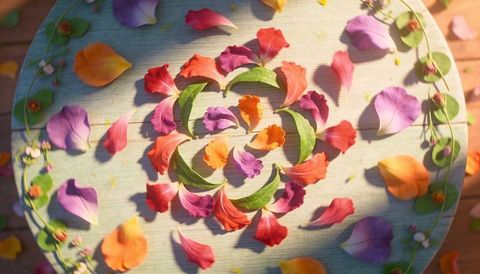 Sunlit petal mandala on rustic wood table with vibrant flower petals and green leaves, concentric sp