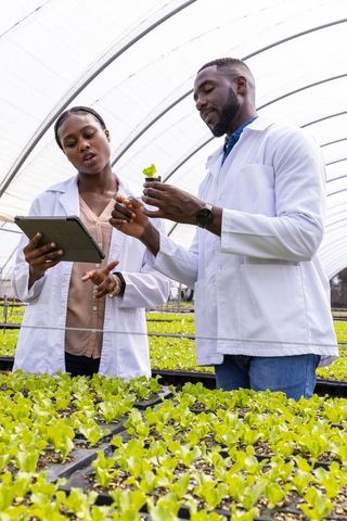 Innovative greenhouse agriculture with seedling inspection by experts