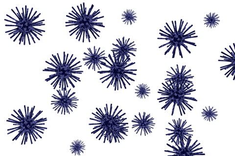 transparent blue virus illustration for science concepts - Download Free Stock Videos Pikwizard.com