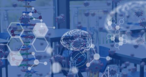 Laboratory with Digital Brain Interface and Genomics - Download Free Stock Images Pikwizard.com