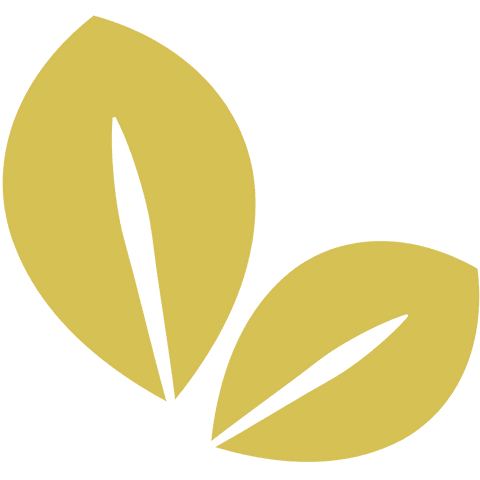 Digital Leaves Illustration on Transparent Background - Download Free Stock Videos Pikwizard.com