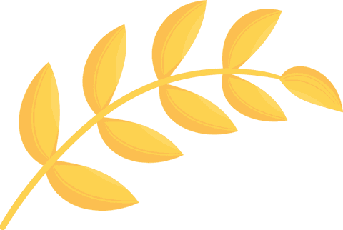 golden laurel branch symbol with transparent background design - Download Free Stock Videos Pikwizard.com