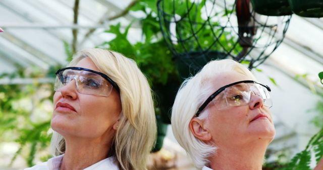 Female Botanists Examining Plants in Greenhouse - Download Free Stock Images Pikwizard.com