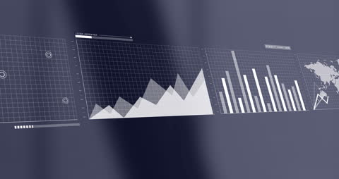 Digital Interface Displaying Statistical Data Visualization